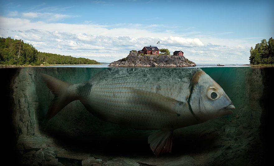 创意海报 漂浮的鱼