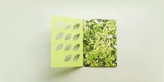 折页设计 绿叶子
