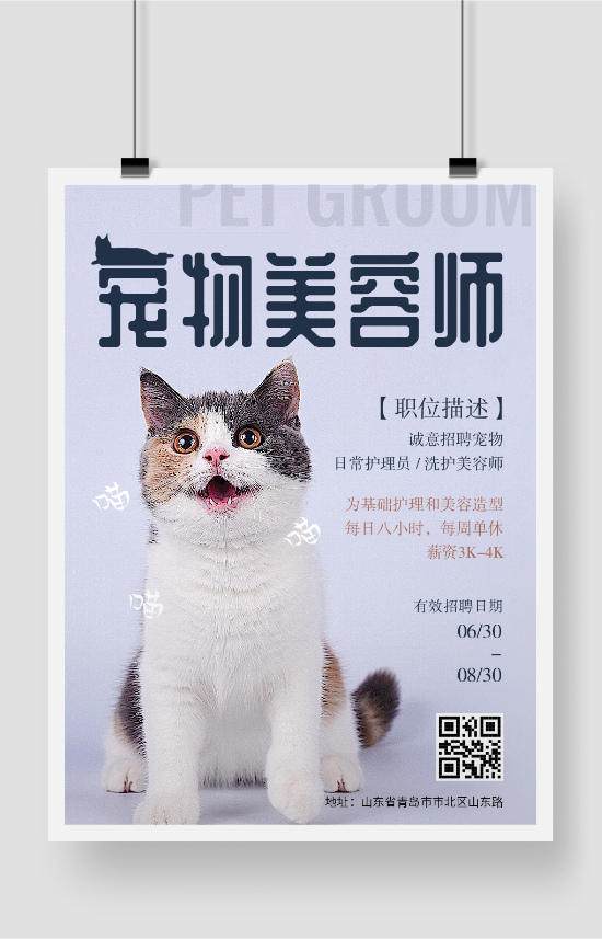 宠物美容师招聘猫咪海报