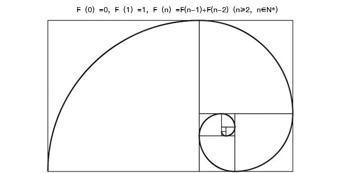 斐波那契螺旋線黃金比例的實際應用