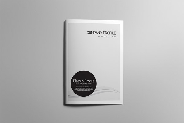 Company profile